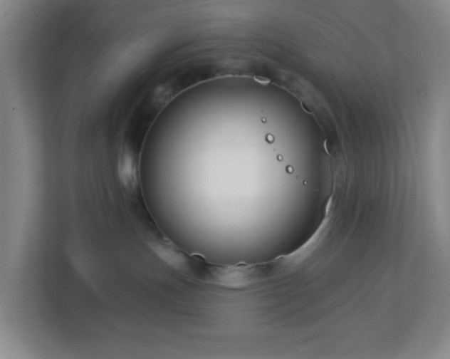 X0000113120191200909041313