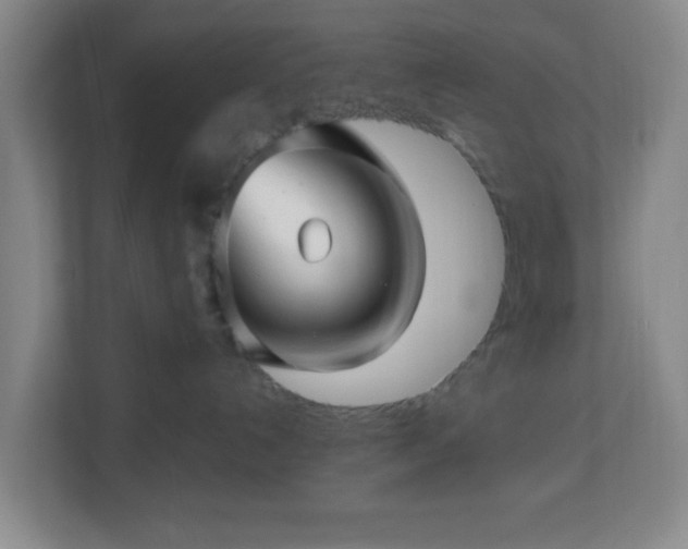 X0000113120192200909041313