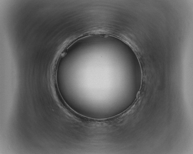 X0000113120193200909041313