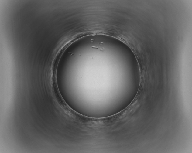 X0000113120194200909041313