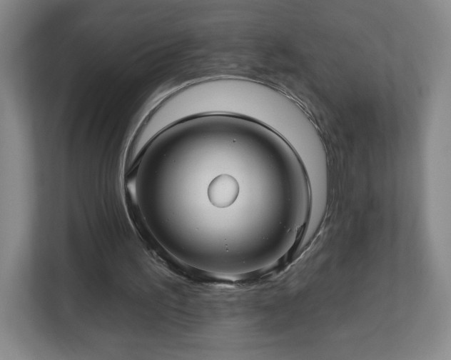 X0000113120195200909041313