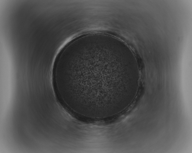 X0000113120196200909041313