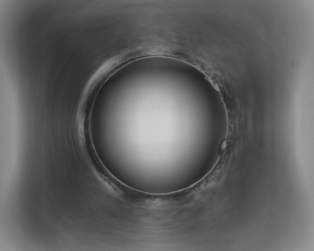 X0000113120197200909041313