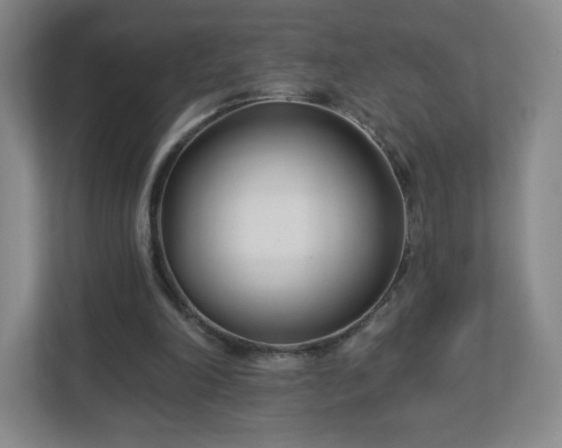 X0000113120198200909041313