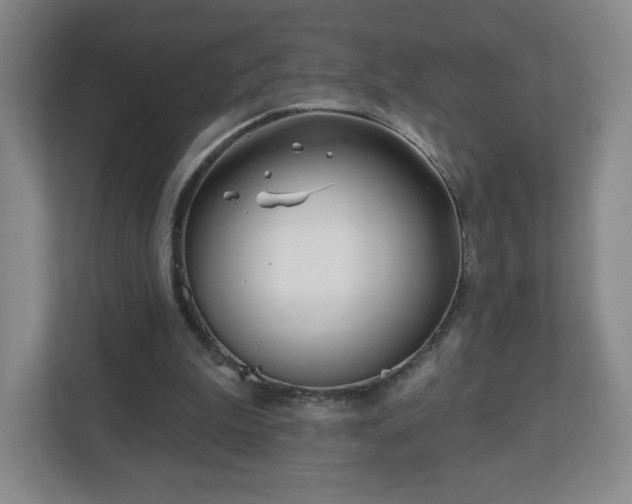 X0000113120199200909041313