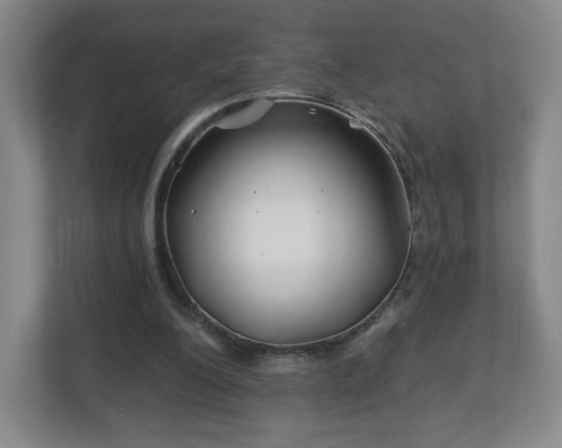 X0000113120200200909041313