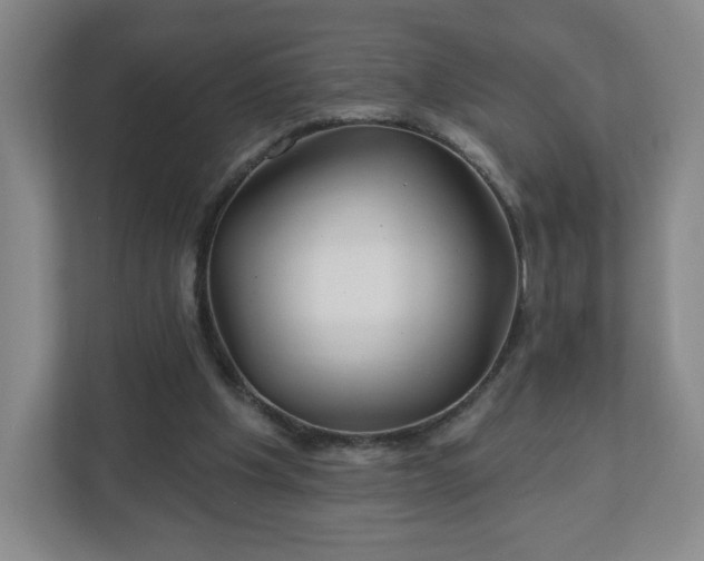 X0000113120201200909041313