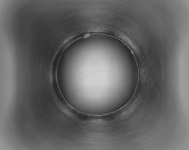 X0000113120203200909041312