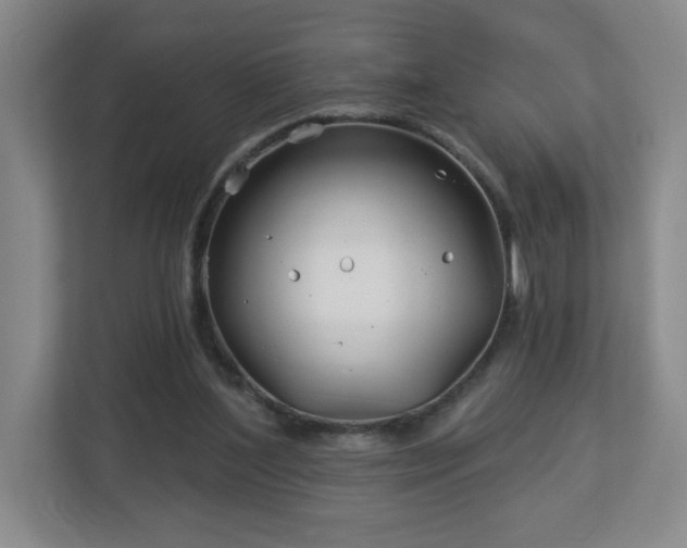 X0000113120204200909041312