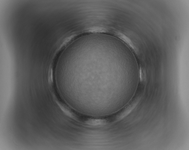 X0000113120205200909041312