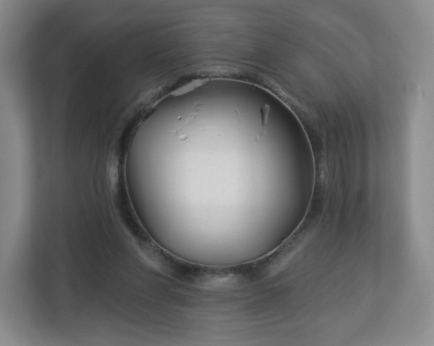 X0000113120206200909041312