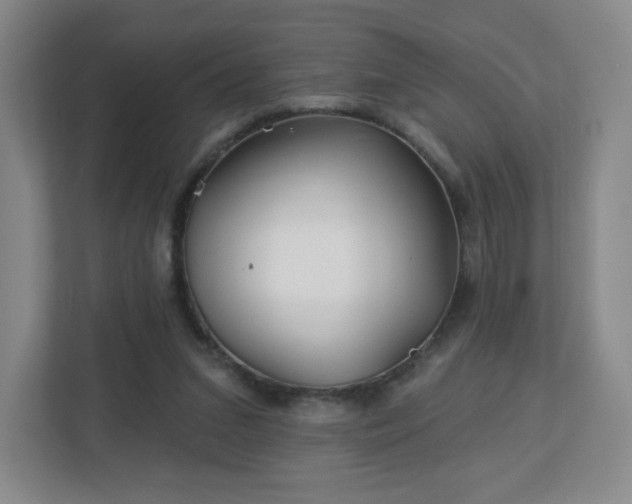 X0000113120207200909041312