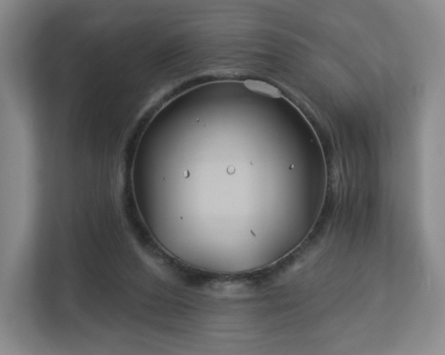 X0000113120208200909041312