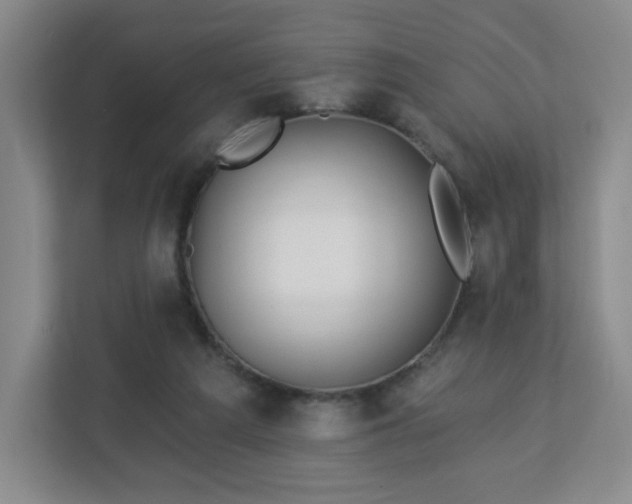 X0000113120209200909041312