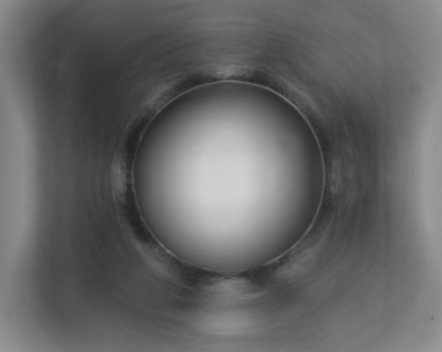 X0000113120210200909041312