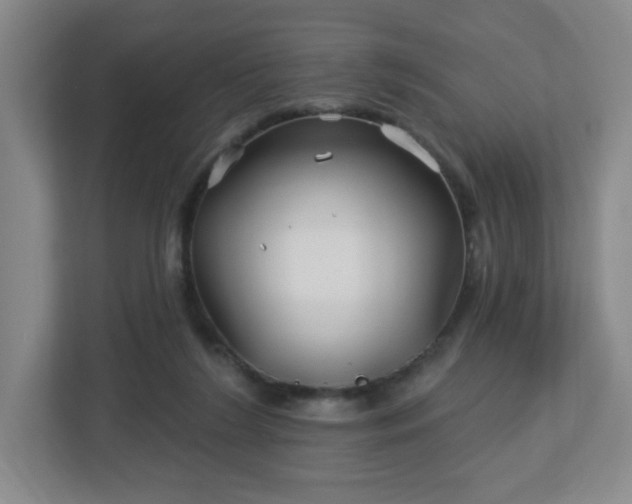 X0000113120212200909041312