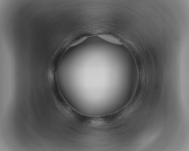 X0000113120214200909041312