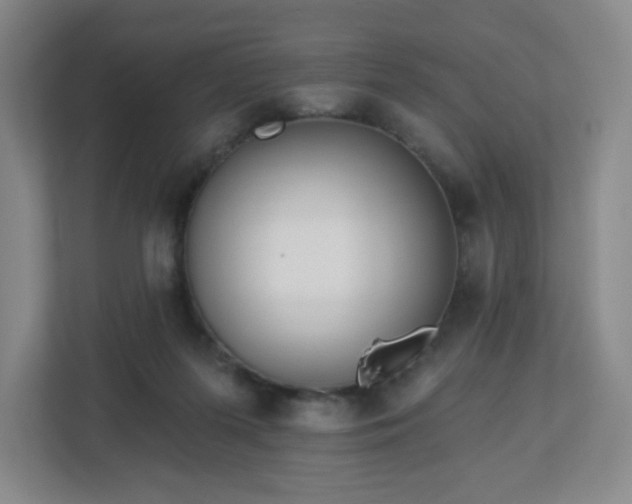 X0000113120215200909041312