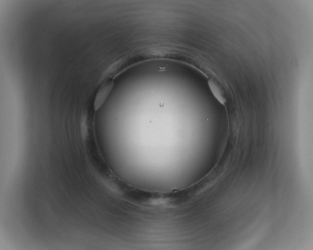 X0000113120216200909041312