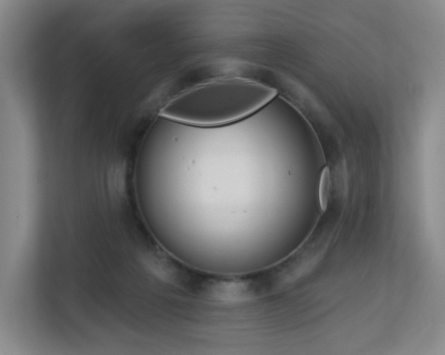 X0000113120217200909041312