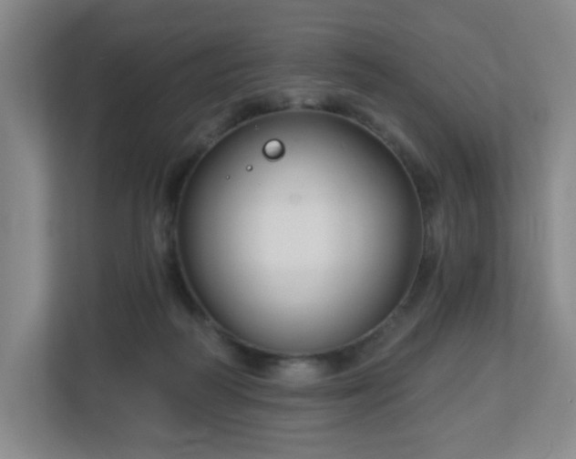 X0000113120218200909041312