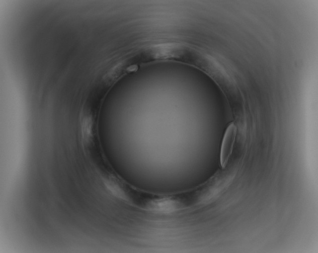 X0000113120219200909041312