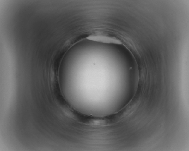 X0000113120220200909041312