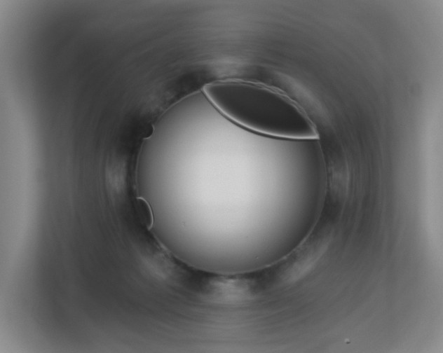 X0000113120221200909041312