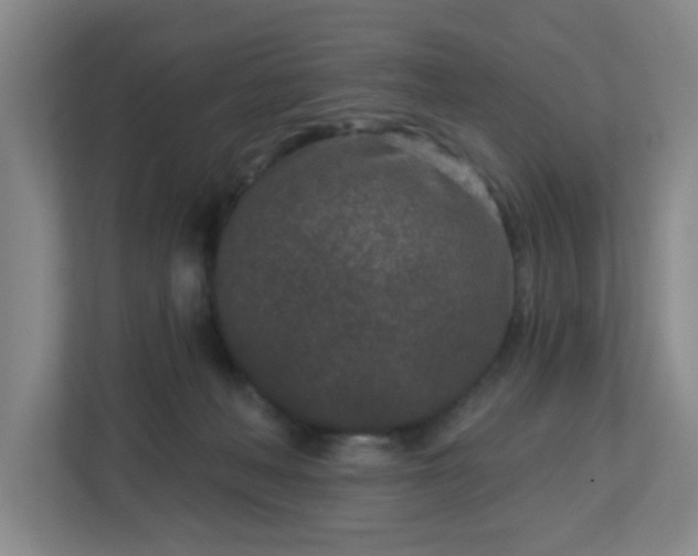 X0000113120222200909041312