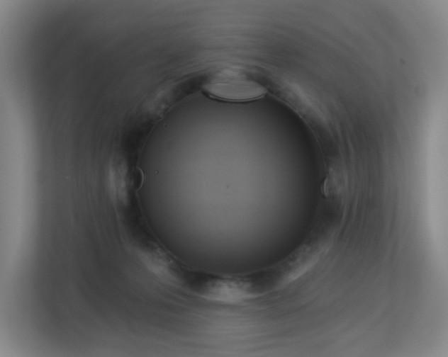 X0000113120223200909041312