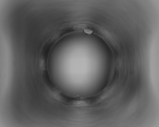 X0000113120224200909041312