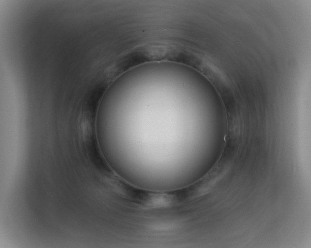 X0000113120226200909041312