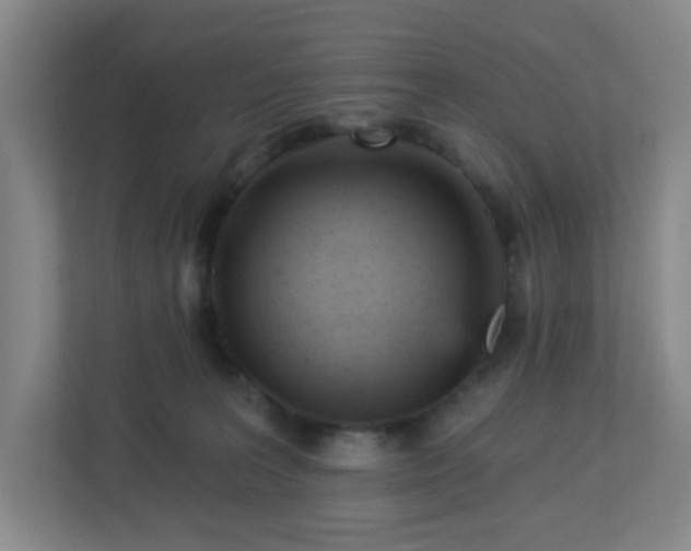 X0000113120227200909041312