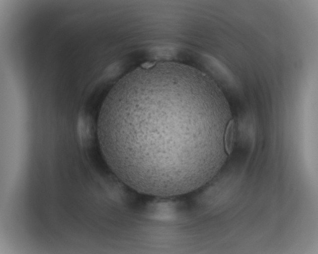 X0000113120228200909041312