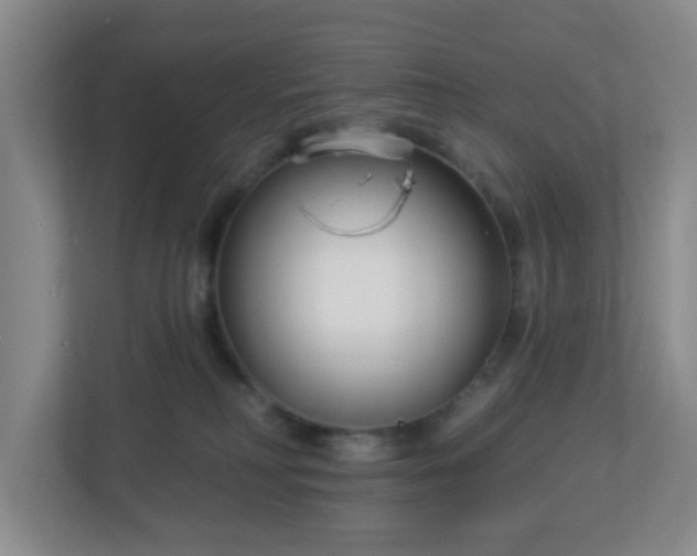 X0000113120230200909041312