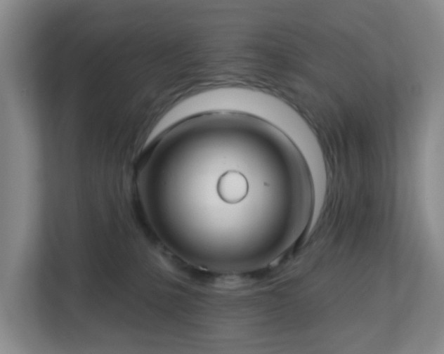 X0000113120231200909041312