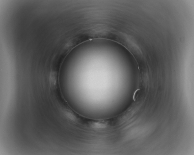 X0000113120232200909041312