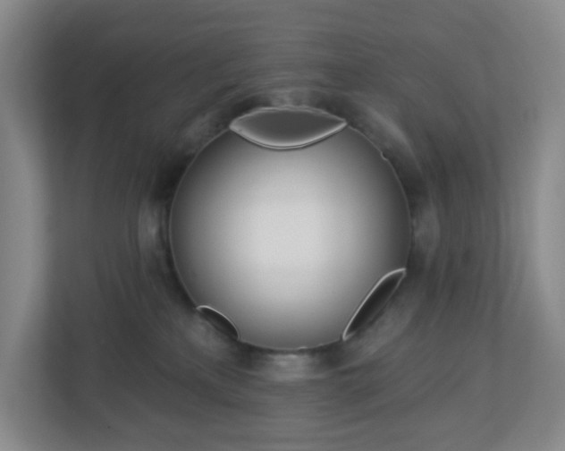 X0000113120233200909041312