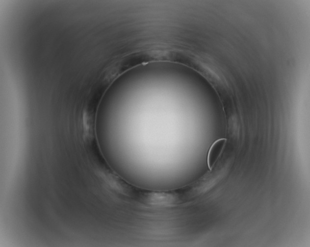 X0000113120234200909041312