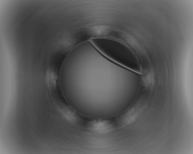 X0000113120235200909041312