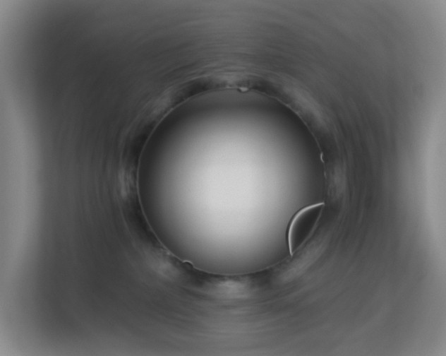 X0000113120236200909041312