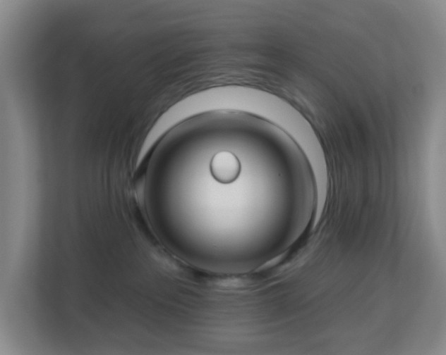 X0000113120237200909041312