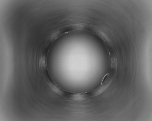 X0000113120238200909041312