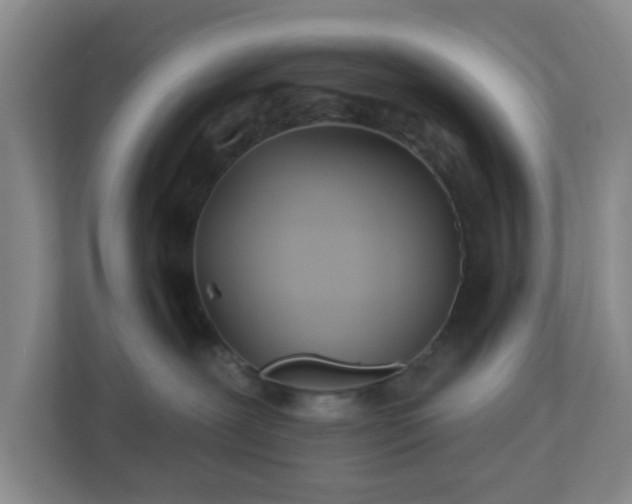 X0000113120239200909041312