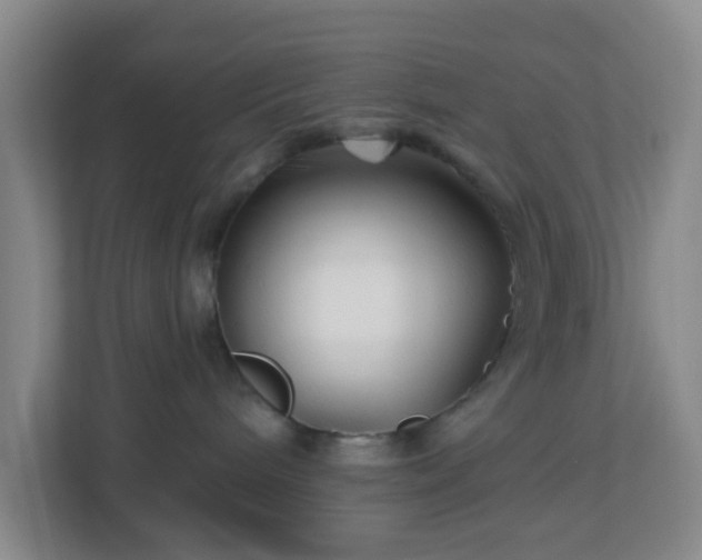 X0000113120240200909041312