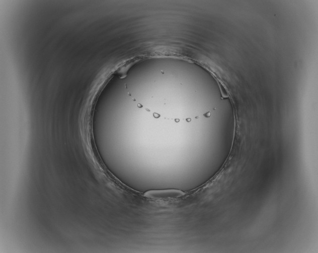 X0000113120241200909041311