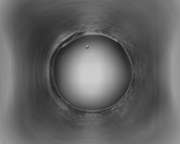 X0000113120242200909041311