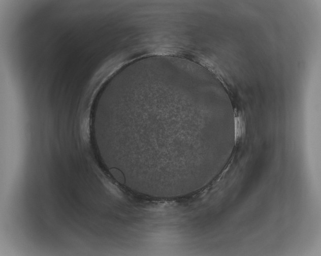 X0000113120243200909041311