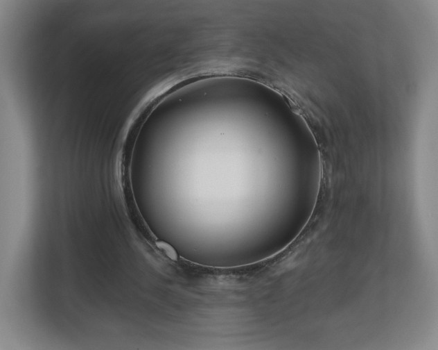 X0000113120244200909041311