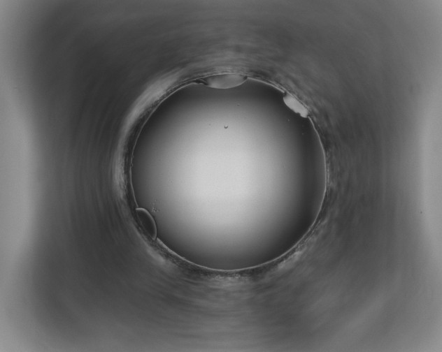 X0000113120245200909041311